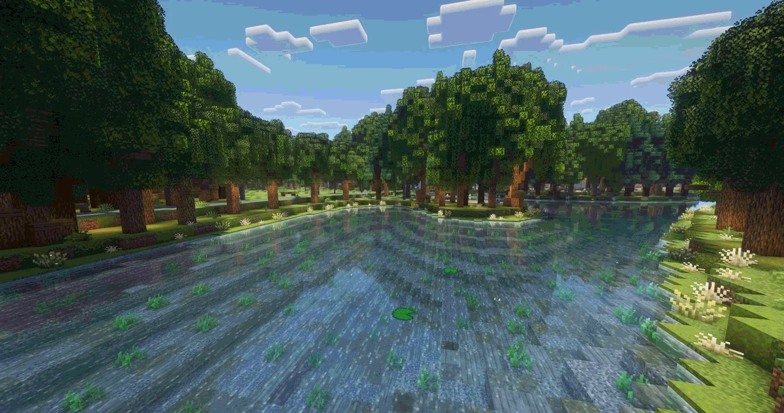 Natuurgebied met meer